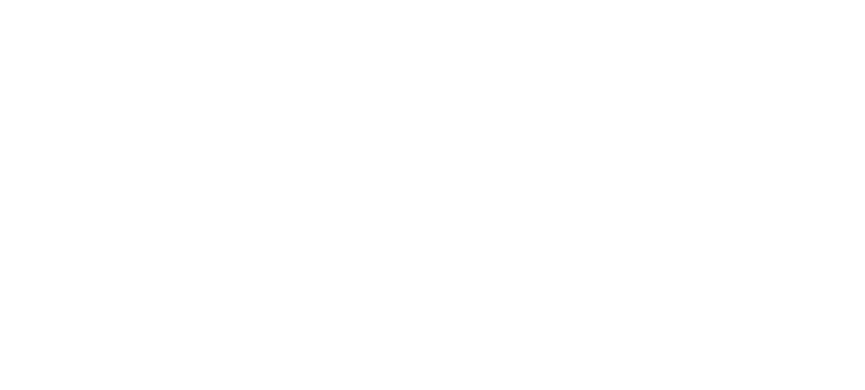 sturmey archer